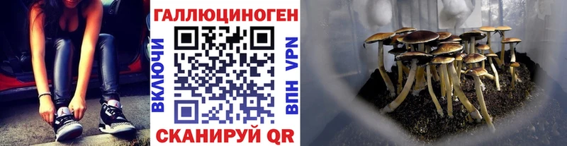 darknet как зайти  kraken ССЫЛКА  Североморск  Галлюциногенные грибы Psilocybine cubensis 